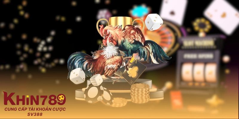 Định hướng hoạt động trong tương lai của Khin789